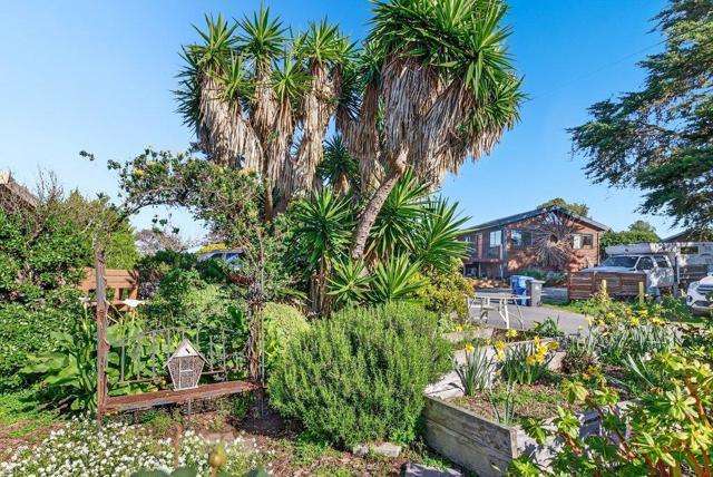 1 Gray Way, Watsonville CA: https://media.crmls.org/mediaz/168554cf-2a0a-4a4b-b679-8b15434d05d9.jpg