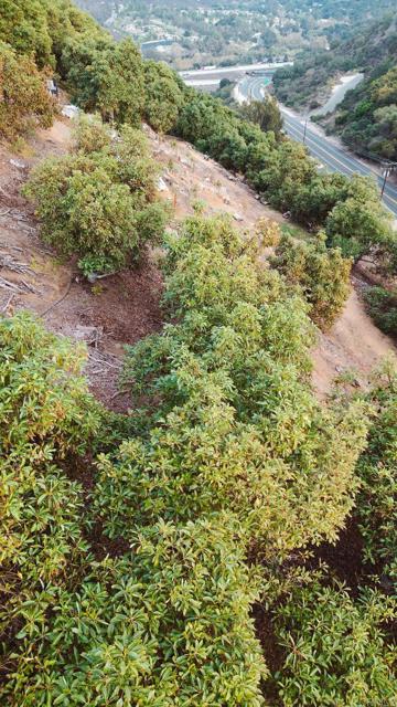 Detail Gallery Image 16 of 18 For 1411 Wild Acres Rd., Vista,  CA 92084 - – Beds | – Baths