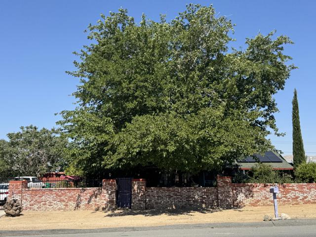 7585 Joshua Lane, Yucca Valley CA: https://media.crmls.org/mediaz/16881e3d-0ec2-441a-ac8f-c81199a64029.jpg