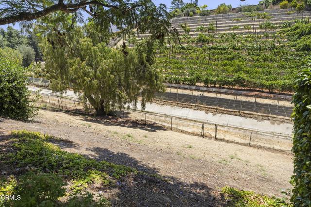 Detail Gallery Image 59 of 73 For 6516 San Onofre Dr, Camarillo,  CA 93012 - 4 Beds | 2/1 Baths