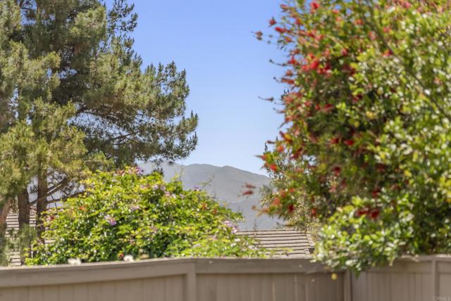 Detail Gallery Image 53 of 59 For 1109 Chimney Flats Ln, Chula Vista,  CA 91915 - 3 Beds | 2/1 Baths