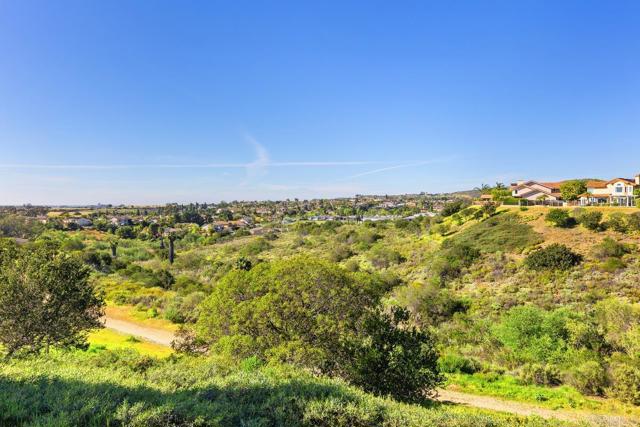 Detail Gallery Image 40 of 44 For 13822 Camino Del Suelo, San Diego,  CA 92129 - 4 Beds | 3 Baths