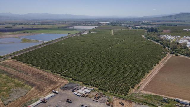 275 Bolsa Road, Gilroy CA: https://media.crmls.org/mediaz/16b0b0ea-87ce-412f-9598-138d0dfc73c5.jpg