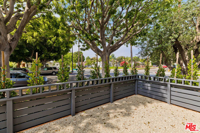 Front Yard