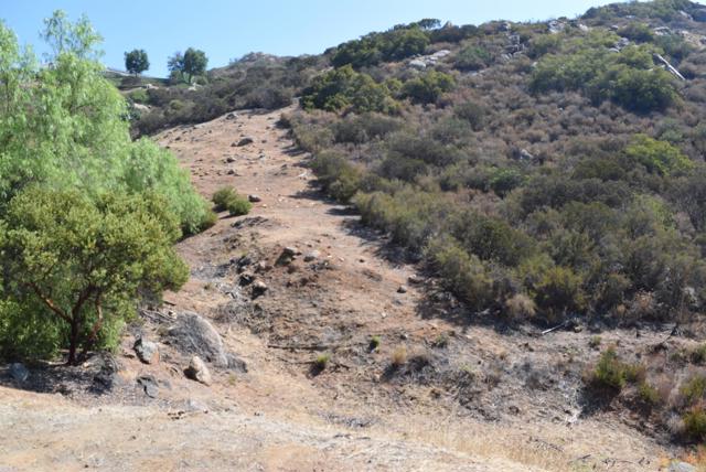 0 Calle Mia, Alpine CA: https://media.crmls.org/mediaz/16ba5389-df0c-4501-a660-074a39a2485c.jpg