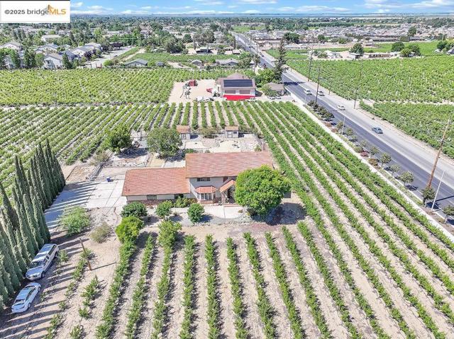 1000 Vintage Drive, Oakley CA: https://media.crmls.org/mediaz/16bea816-fe57-4afd-93c3-6d502b2a6d5a.jpg