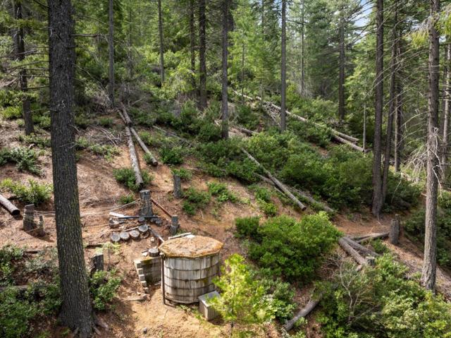 Image 55 of 95 For 2120 Pack Trail