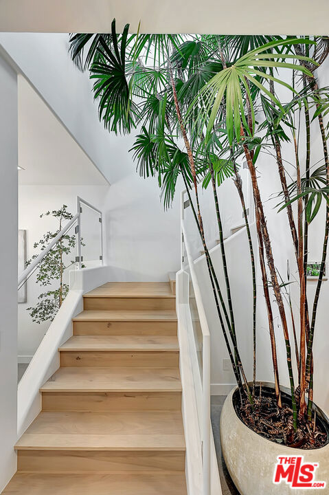 6442 Lunita Road, Malibu CA: https://media.crmls.org/mediaz/16df897b-c6ae-4cb8-9482-ff0a1519c252.jpg