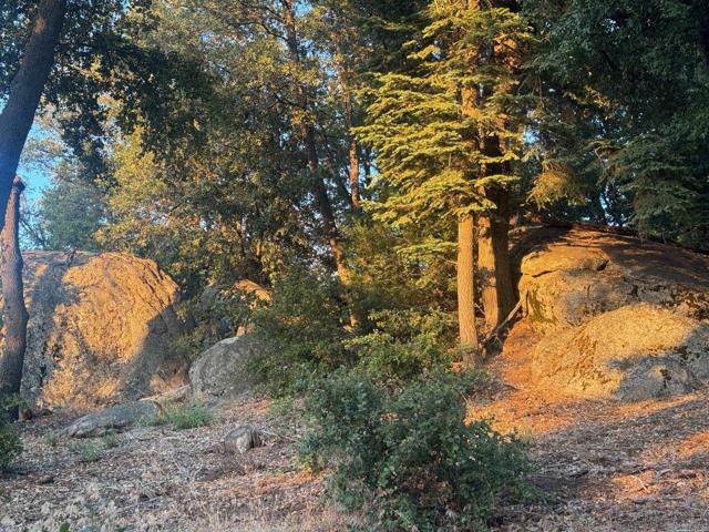 Detail Gallery Image 27 of 47 For 10 Acres Greenfield Way, Palomar Mountain,  CA 92060 - – Beds | – Baths