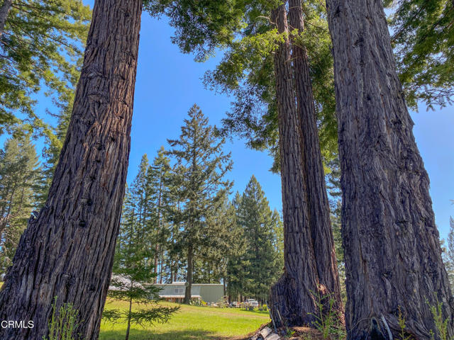 Detail Gallery Image 29 of 49 For 13740 Peregrine Rd, Boonville,  CA 95415 - – Beds | – Baths