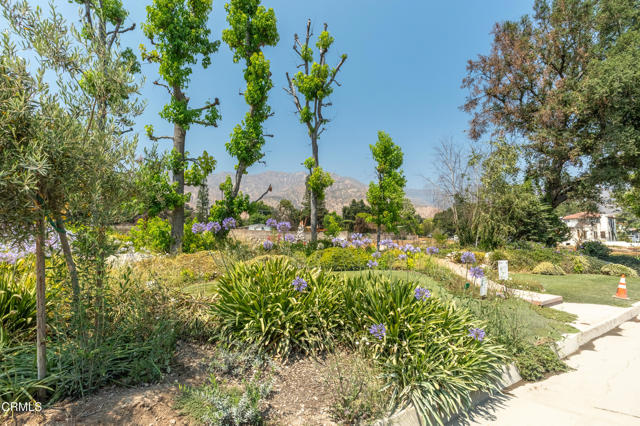 1215 E Mendocino Street, Altadena CA: https://media.crmls.org/mediaz/16e841cd-d13b-4a48-a149-f4a401811550.jpg