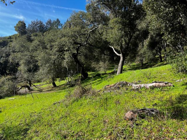 0 Baker Road, Aptos CA: https://media.crmls.org/mediaz/16e8eed2-8d1e-48c0-a8b1-6a4754e525d0.jpg