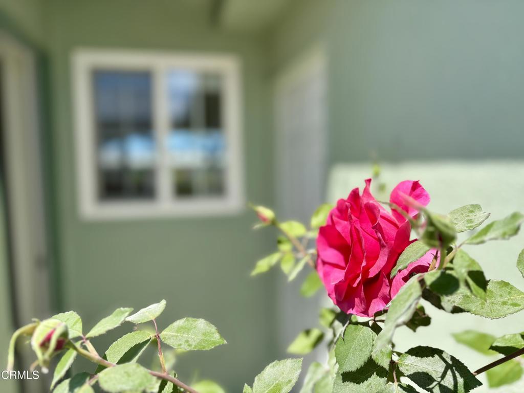 https://media.crmls.org/mediaz/16ea0af0-424d-4678-bf4b-1d4eb202c9be.jpg?preset=X-Large