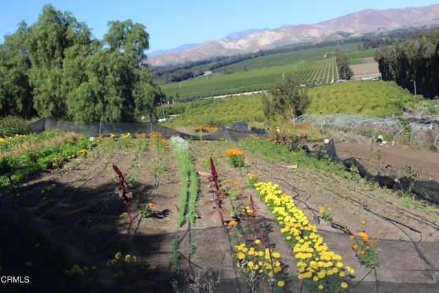 Detail Gallery Image 11 of 32 For 1672 E Los Angeles Ave, Somis,  CA 93066 - – Beds | – Baths