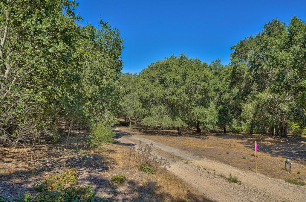 MLS #ML81991088 image #10