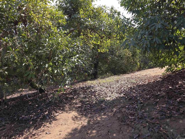 Detail Gallery Image 19 of 32 For 0 Couser Canyon Rd, Valley Center,  CA 92082 - – Beds | – Baths