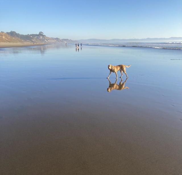 33 Aqua View Drive, Watsonville CA: https://media.crmls.org/mediaz/16f45e30-8b79-4efb-8604-a79efb5e263a.jpg