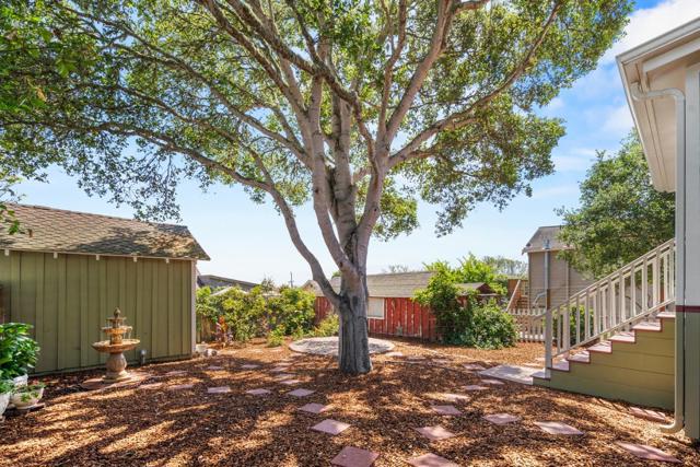 519 Dickman Avenue, Monterey CA: https://media.crmls.org/mediaz/16f677cc-6a83-41e0-a5fa-036fbc4de429.jpg