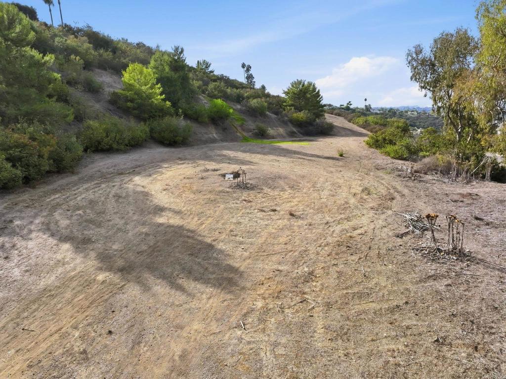 6515 El Fuerte Street - photo 6