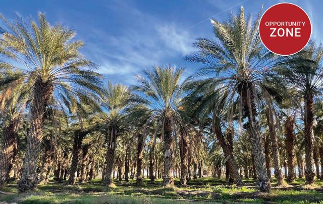 0 Nwc Pierce St & Ave 64, Thermal CA: https://media.crmls.org/mediaz/17013380-5d49-4a03-a1fe-48478a7aa320.jpg