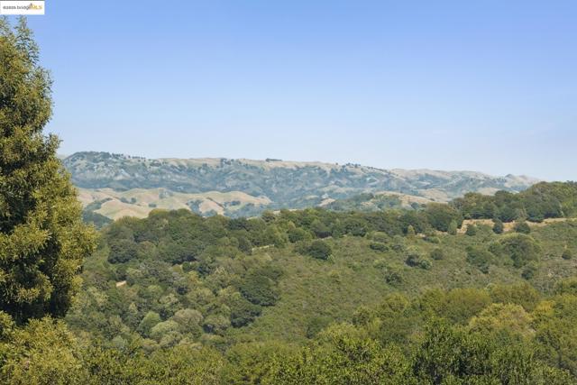 12688 Brookpark Road, Oakland CA: https://media.crmls.org/mediaz/170340d0-b46e-4ae1-95a9-2799704577b5.jpg