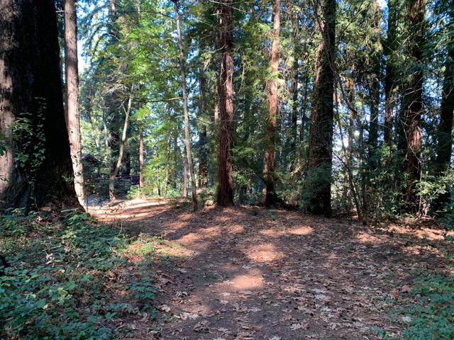 1 Santa Ana Road, Los Gatos CA: https://media.crmls.org/mediaz/1706a876-3b9f-4dae-96b2-203ae579ef1a.jpg