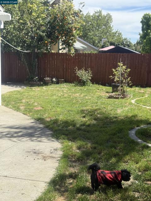 425 Sandy Hill Ct, Antioch CA: https://media.crmls.org/mediaz/170b0685-e973-462e-8729-59c343c3e318.jpg