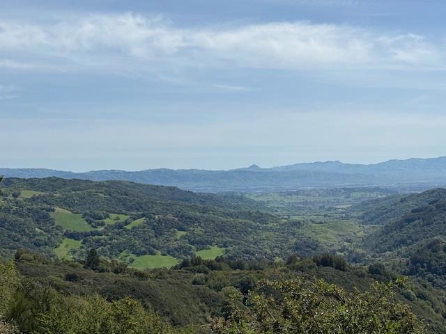 7175 Redwood Retreat Road, Gilroy CA: https://media.crmls.org/mediaz/170eb54a-2cd0-41b1-84a0-793346d95fa6.jpg