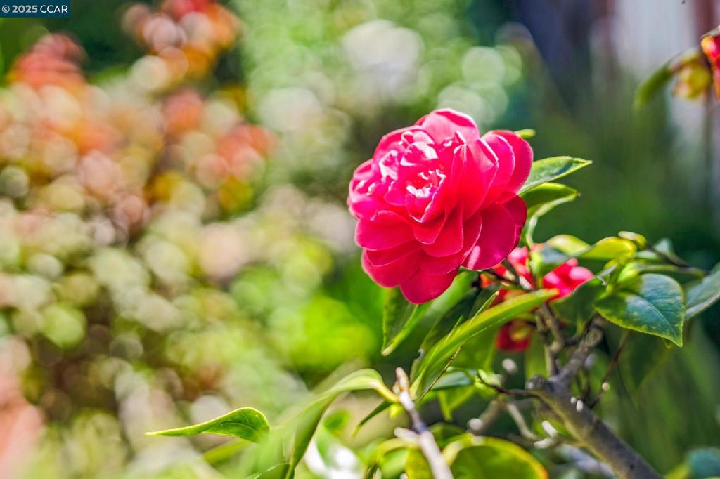 https://media.crmls.org/mediaz/170fa5cb-e0b9-438f-8615-277e8613c3a0.jpg?preset=X-Large