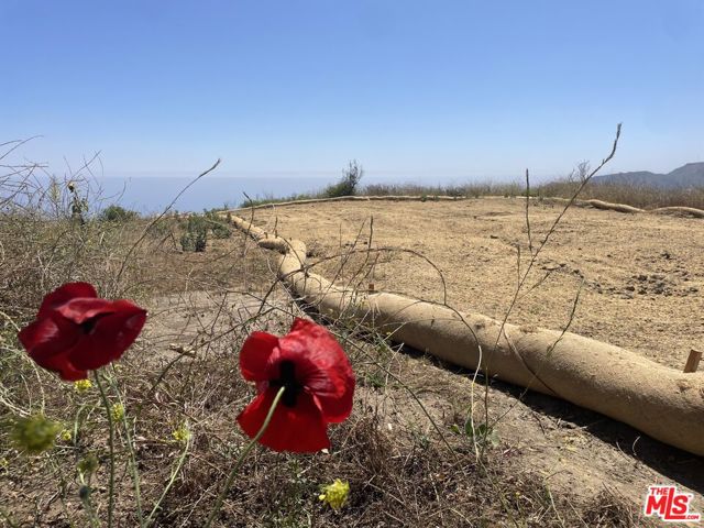 2195 E Little Las Flores Road, Topanga CA: https://media.crmls.org/mediaz/17168558-875c-4a5c-91e4-98a1b3cf5967.jpg