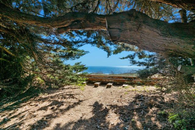 275 Davenport Landing Road, Davenport CA: https://media.crmls.org/mediaz/171861fb-41b2-491d-bfcc-ddbe3e829f66.jpg