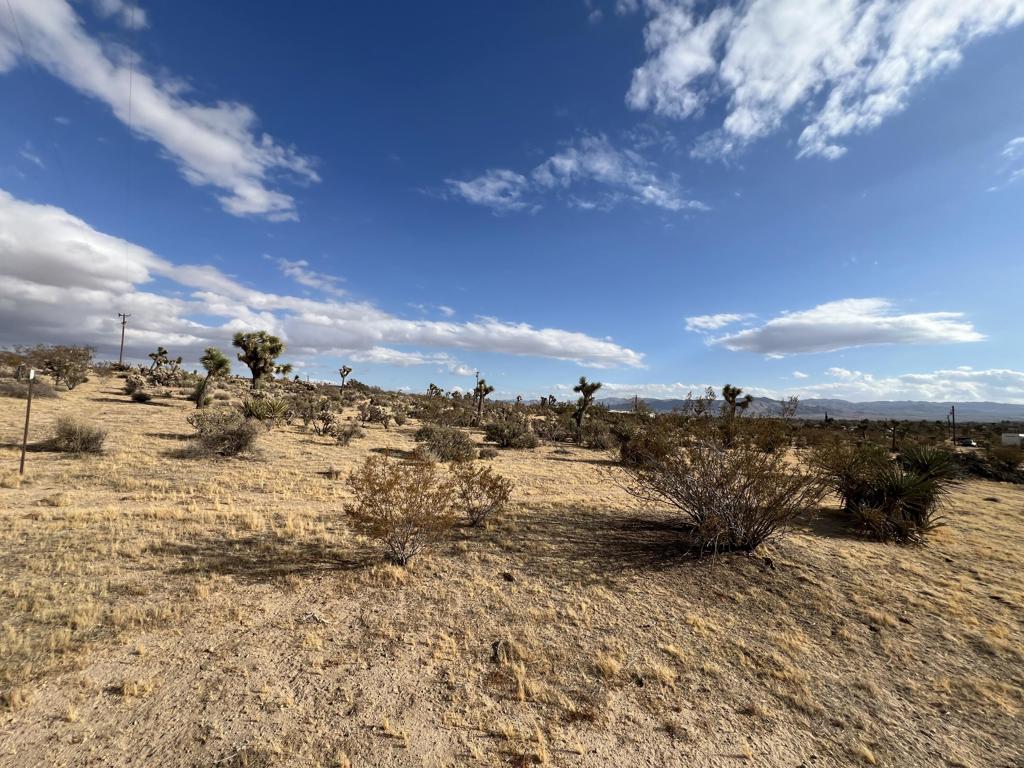 MLS #219133848DA image #3
