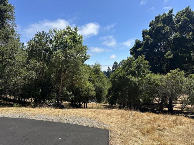 290 Dana Lane, Aptos CA: https://media.crmls.org/mediaz/171b95dc-bc29-434d-b1c2-c1d4ae7c95aa.jpg