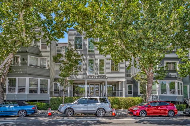 411 Park Avenue, San Jose CA: https://media.crmls.org/mediaz/171bd459-5fec-471a-9a7b-4ea3825e953f.jpg