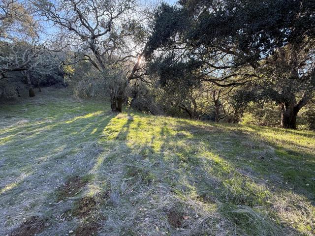 0 Chesbro Lake Drive, Morgan Hill CA: https://media.crmls.org/mediaz/171d6eb2-7c67-4d45-95e9-f808ba0acdfd.jpg