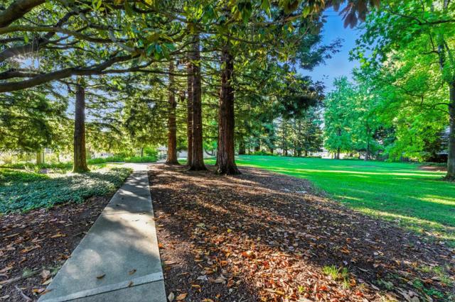 213 Yarborough Lane, Redwood City CA: https://media.crmls.org/mediaz/172348c3-9ce1-4445-b48b-718954c8b2fb.jpg
