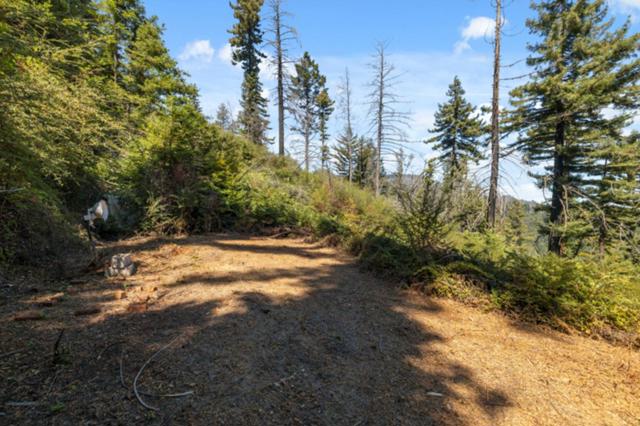 2472 Fanning Grade, Ben Lomond CA: https://media.crmls.org/mediaz/173122de-bbb1-4818-82a7-8abcc5f61b07.jpg