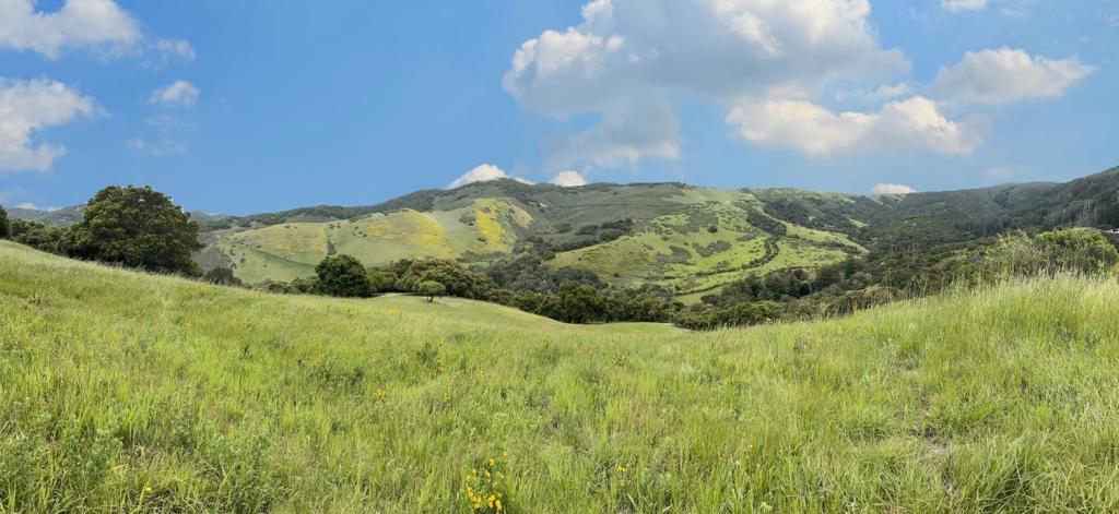 MLS #ML82008507 image #6