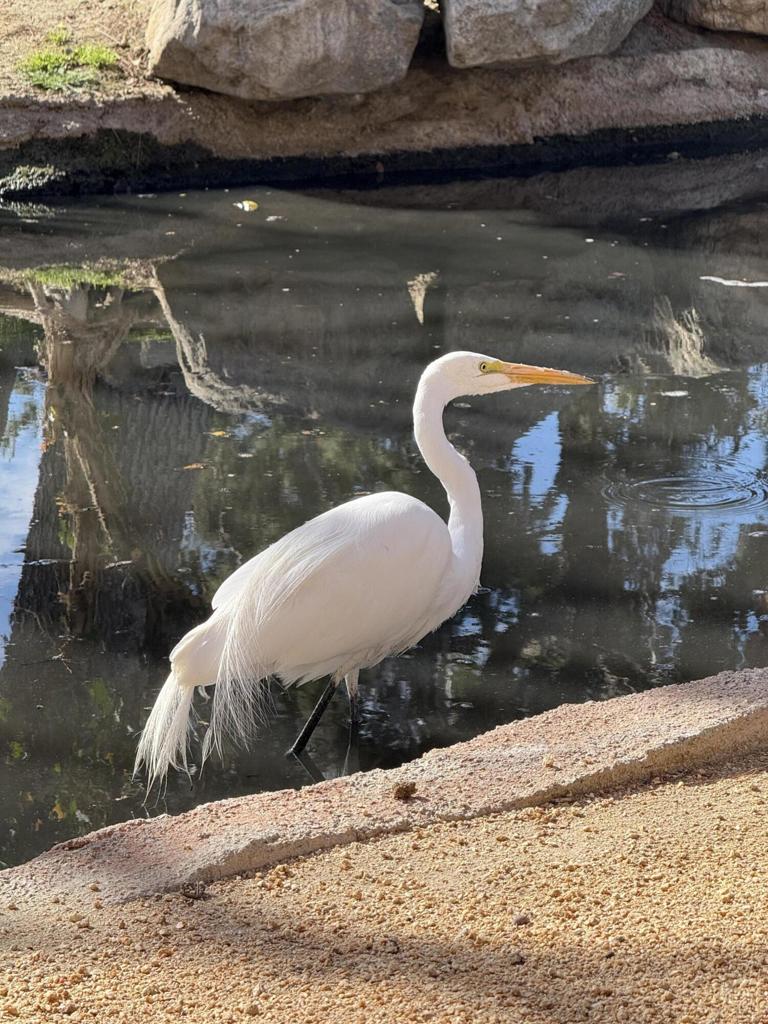 MLS #219137992DA image #23