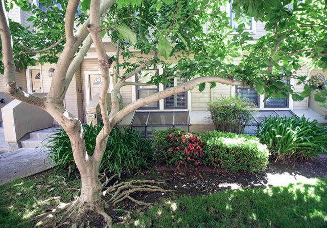 991 La Mesa Terrace, Sunnyvale CA: https://media.crmls.org/mediaz/1737d9f4-4d95-4a0a-837b-ea9b0758f6e0.jpg