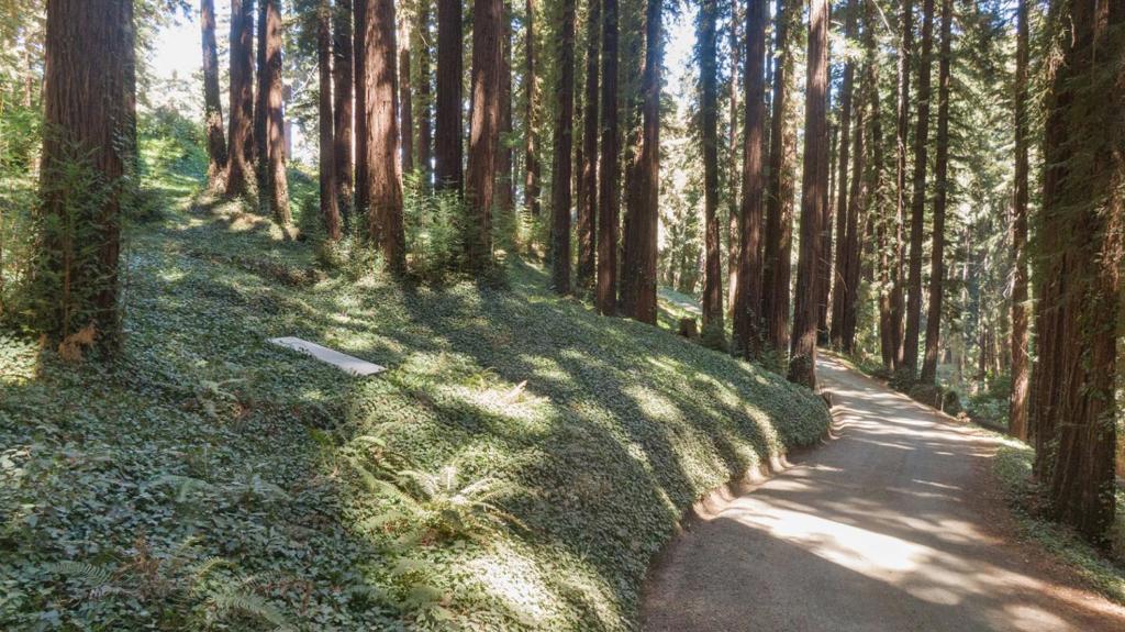 MLS #ML81988191 image #12