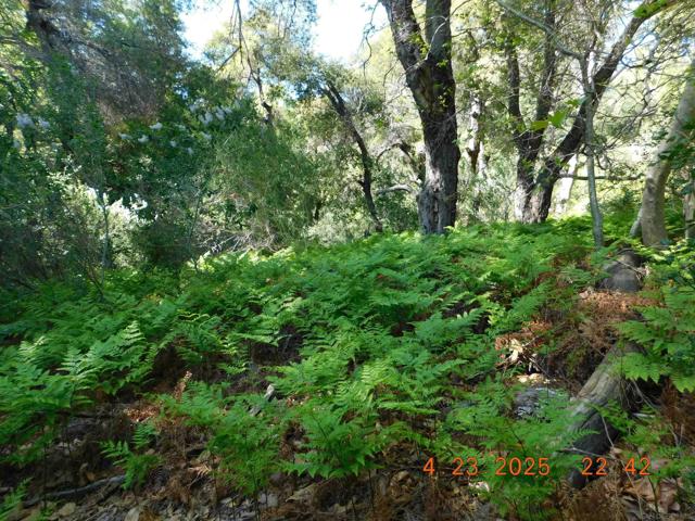 0 San Felipe Rd,  CA: https://media.crmls.org/mediaz/174b2a67-8156-48ed-93e7-e2fbfc541cd6.jpg