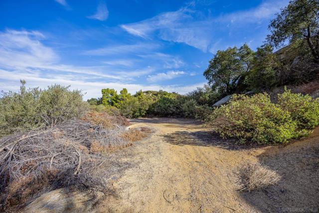 Image 33 of 54 For 20855 Cinnamon Dr