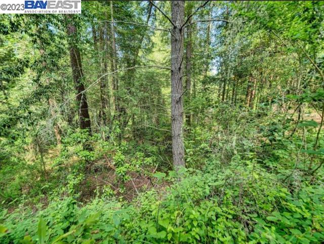 Image 10 of 24 For 17535 Woods Ave