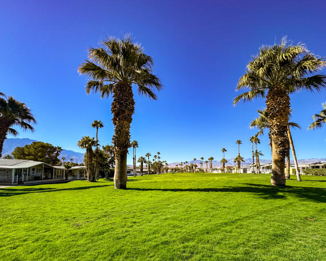 15500 Bubbling Wells Road, Desert Hot Springs CA: https://media.crmls.org/mediaz/175c8990-8f7d-4935-94be-844d05e8aff8.jpg