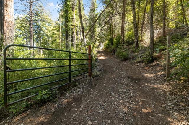 280 Sweetwater Lane, Ben Lomond CA: https://media.crmls.org/mediaz/176978ef-08a1-4399-acf3-ad516c552416.jpg