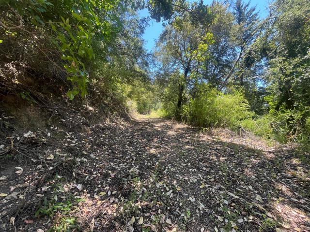 0 Deer Creek (Lot 21), Boulder Creek CA: https://media.crmls.org/mediaz/1772301e-cd9d-4e27-a77c-ebc004a9f394.jpg