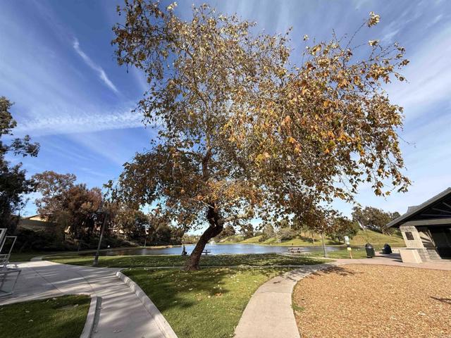 Detail Gallery Image 16 of 22 For 525 Calle Montecito #122,  Oceanside,  CA 92057 - 2 Beds | 1 Baths