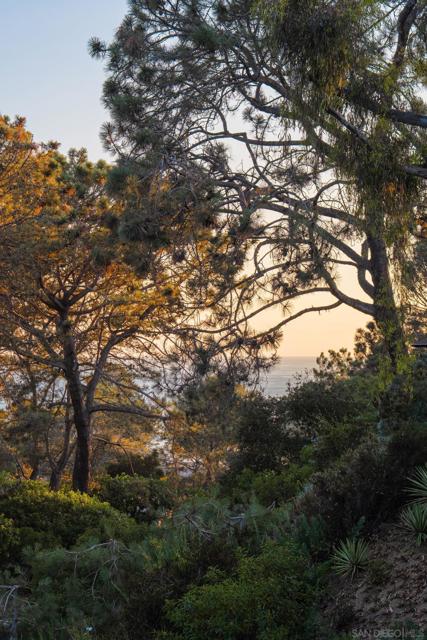 404 Pine Needles, Del Mar CA: https://media.crmls.org/mediaz/177993b5-1812-407d-97c1-9fc4a8317228.jpg
