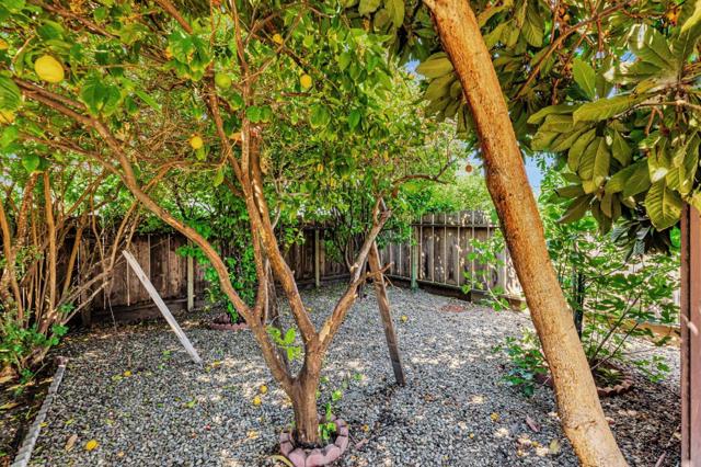 263 Maple Street, Hollister CA: https://media.crmls.org/mediaz/177bda76-a663-49c9-a05c-ecbe8a113f7c.jpg